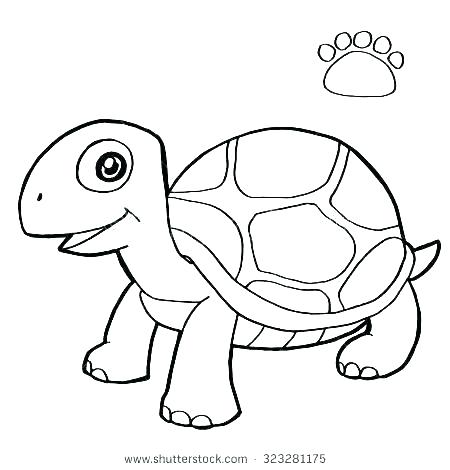 Sea Turtle Cartoon Drawing at PaintingValley.com | Explore collection ...