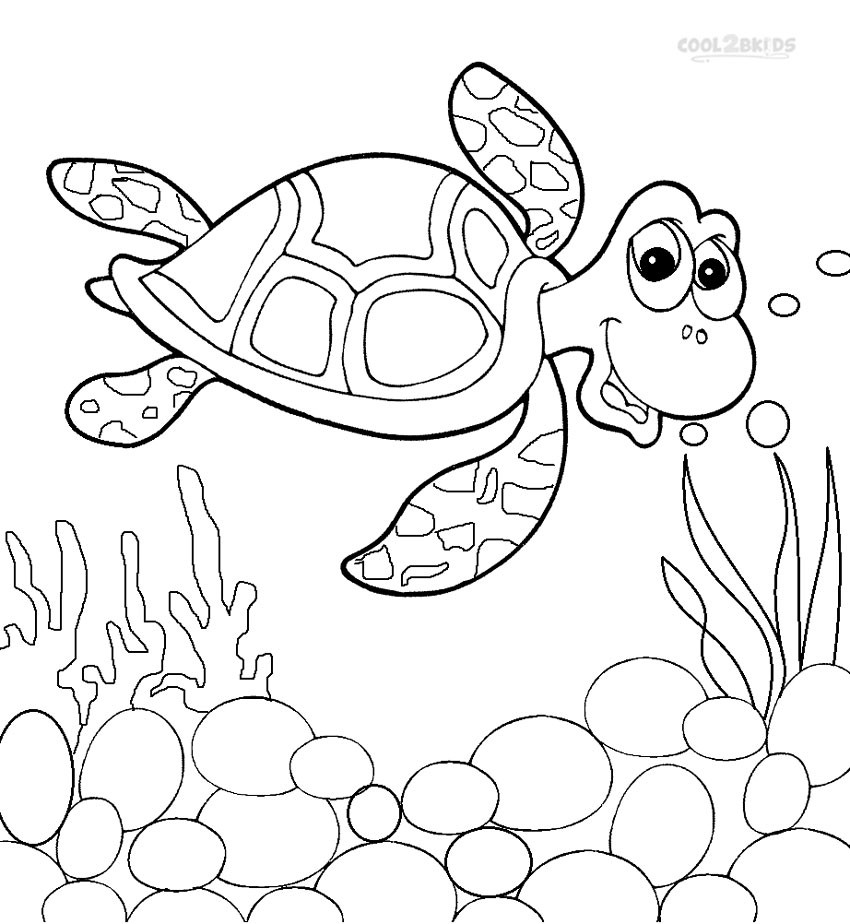 Sea Turtle Cartoon Drawing at PaintingValley.com | Explore collection ...