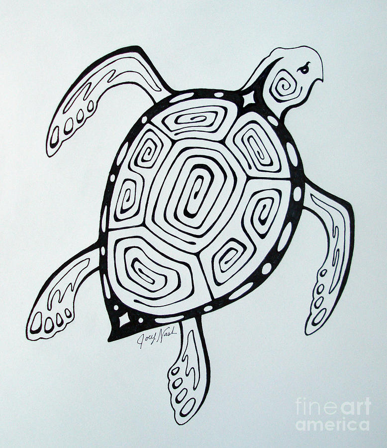 778x900 Joey's Sea Turtle Drawing - Sea Turtle Drawing