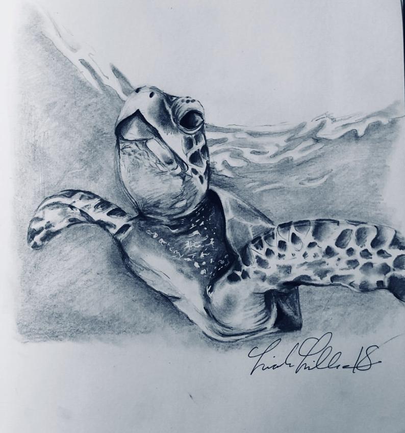 794x849 Sea Turtle Drawing Print Etsy - Sea Turtle Drawing