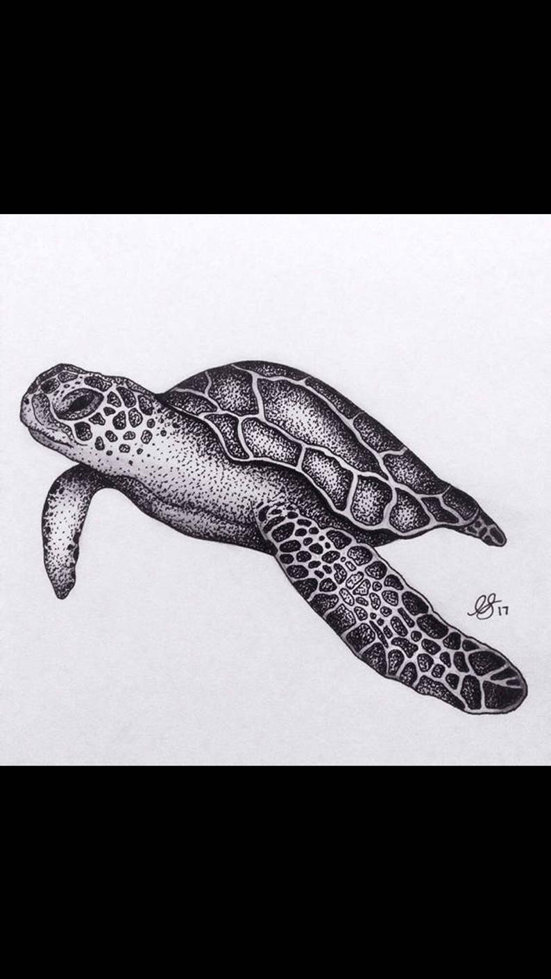 794x1409 Sea Turtle Drawing Print Etsy - Sea Turtle Drawing