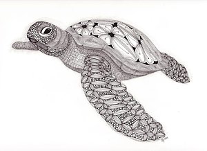 300x218 Tangled Sea Turtle Drawing - Sea Turtle Drawing