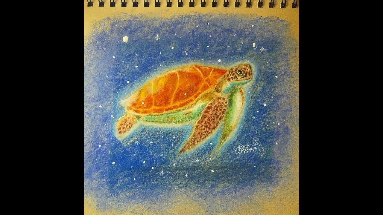 1280x720 Drawing A Sea Turtle With Colored Pencils Lysa Roberts - Sea Turtle Drawing Color