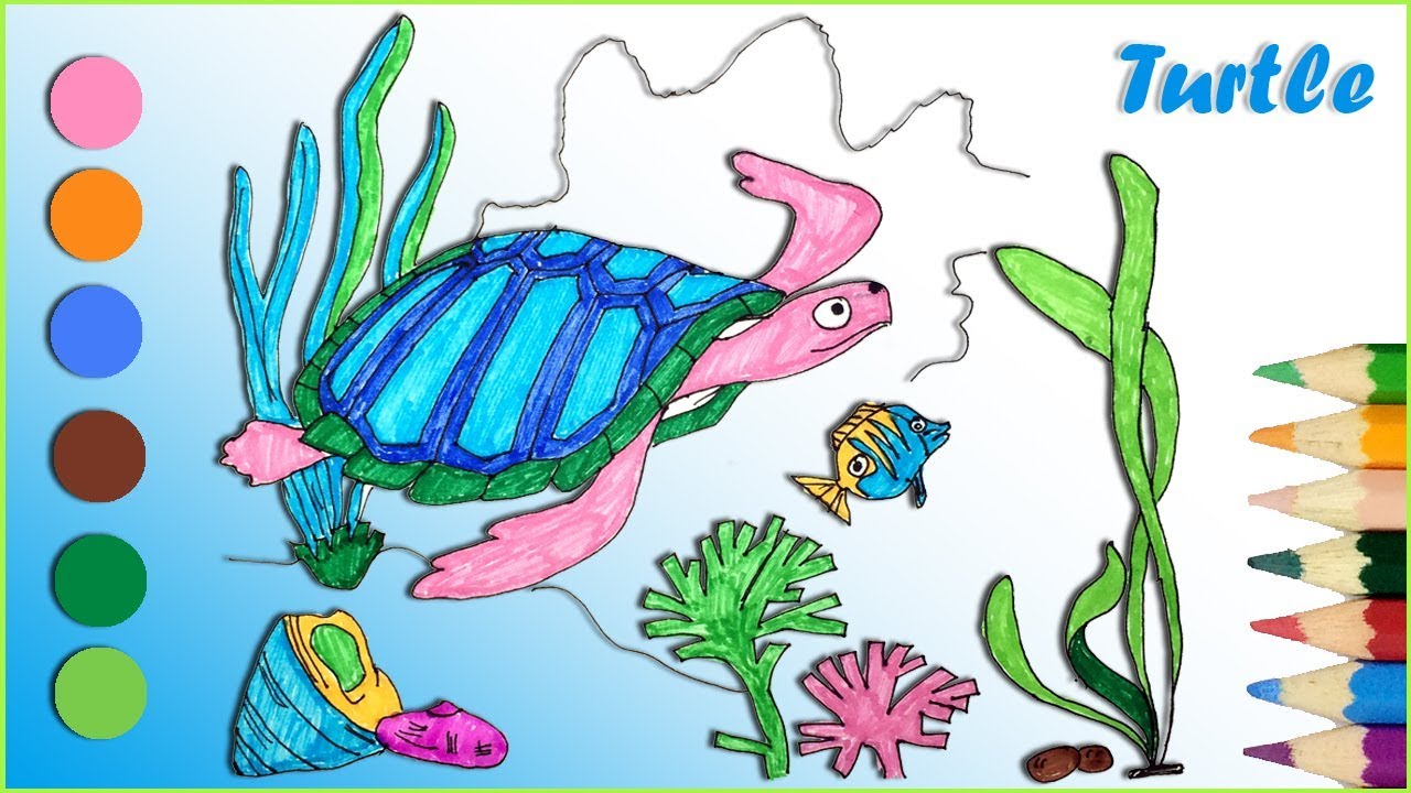 1280x720 How To Draw And Coloring A Sea Turtle Drawing And Coloring Pages - Sea Turtle Drawing Color