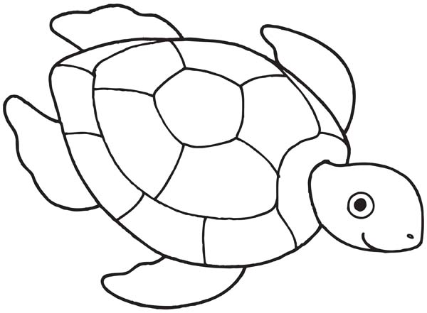 600x441 Sea Turtle Drawing Free Coloring Page - Sea Turtle Drawing Color