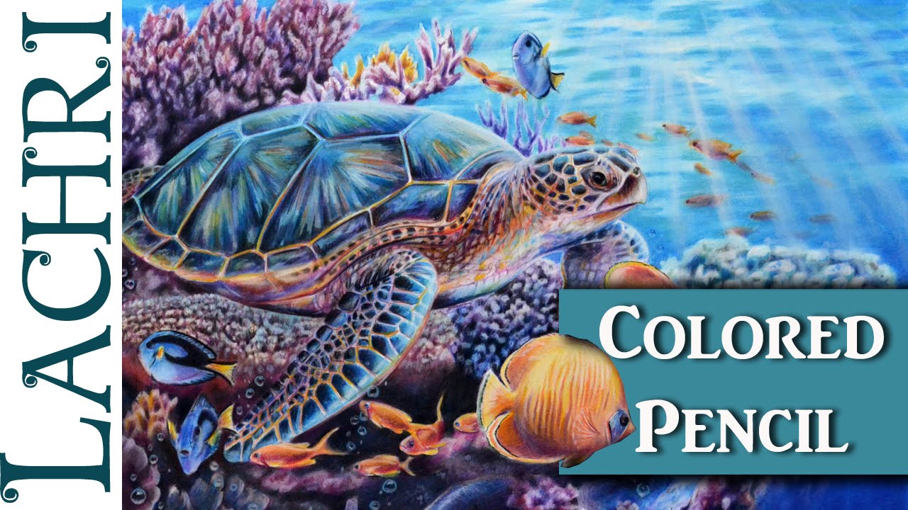 1280x720 Colored Pencil Sea Turtle Part - Sea Turtle Drawing Color