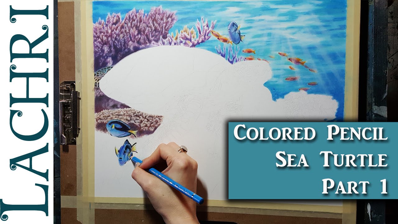 1280x720 Colored Pencil Sea Turtle Part - Sea Turtle Drawing Color
