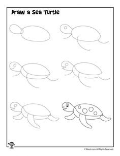 236x305 how to draw a sea turtle blog art painting in sea turtle - Sea Turtle Drawing For Kids