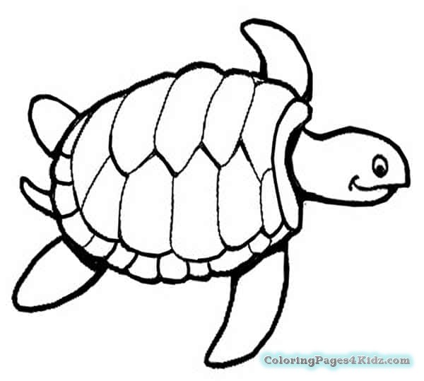 Sea Turtle Drawing For Kids at PaintingValley.com | Explore collection ...