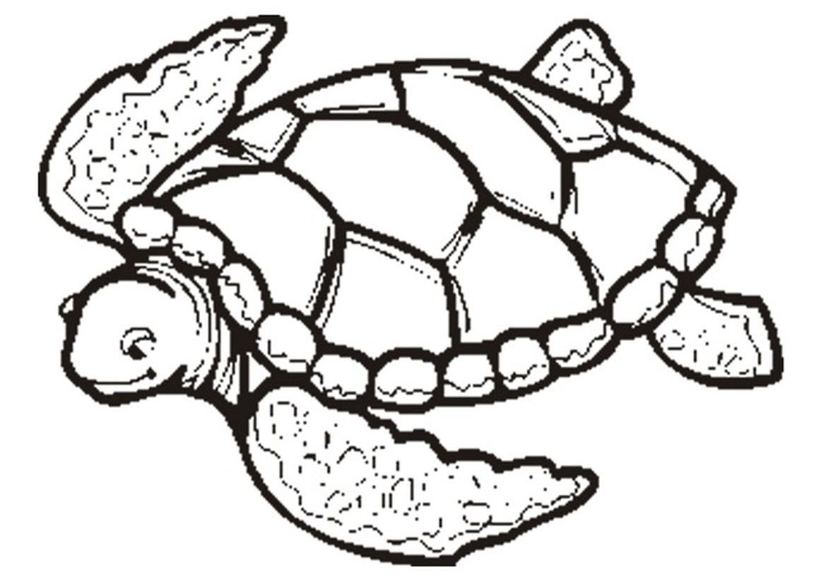 1169x826 obsession sea turtles coloring pages free printable turtle - Sea Turtle Drawing For Kids