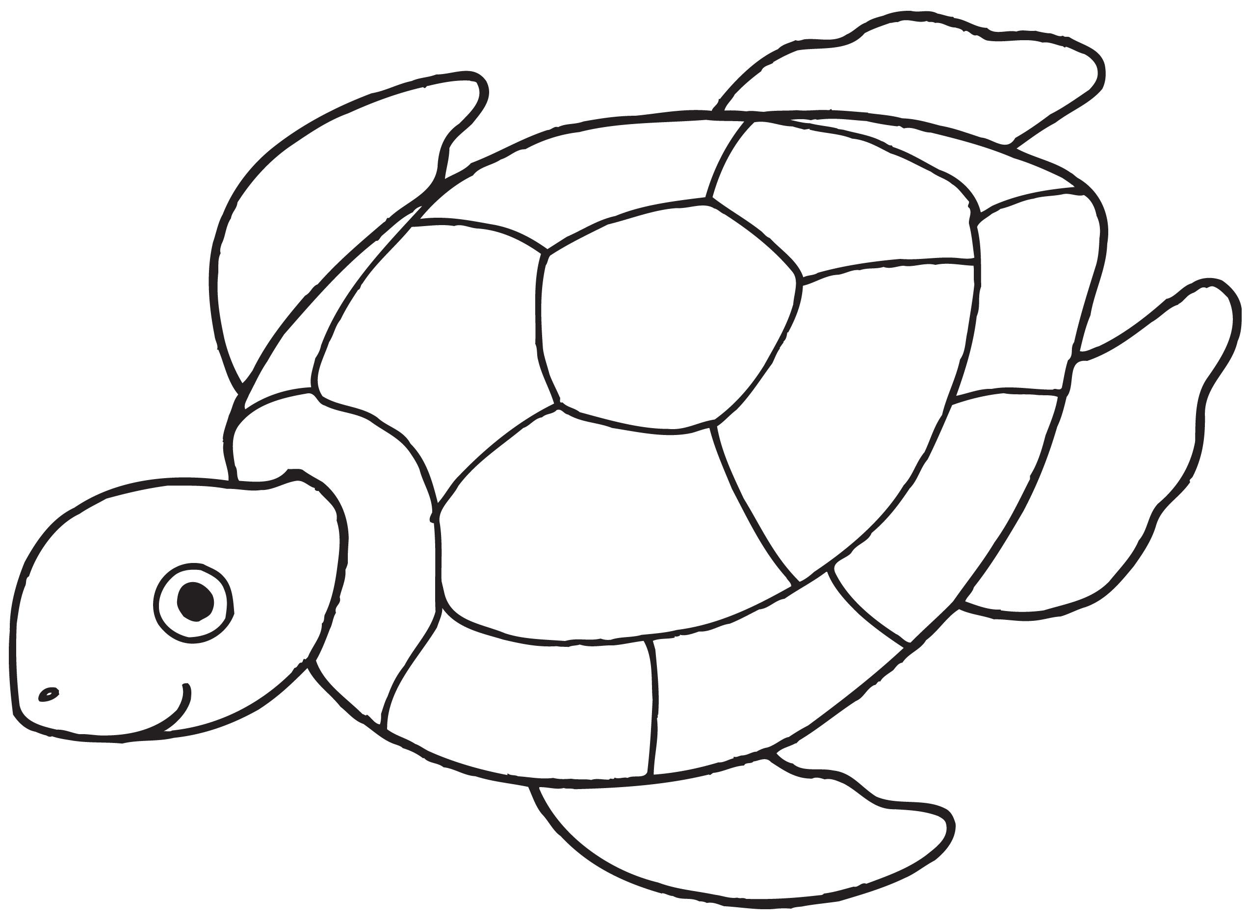 Sea Turtle Drawing For Kids at