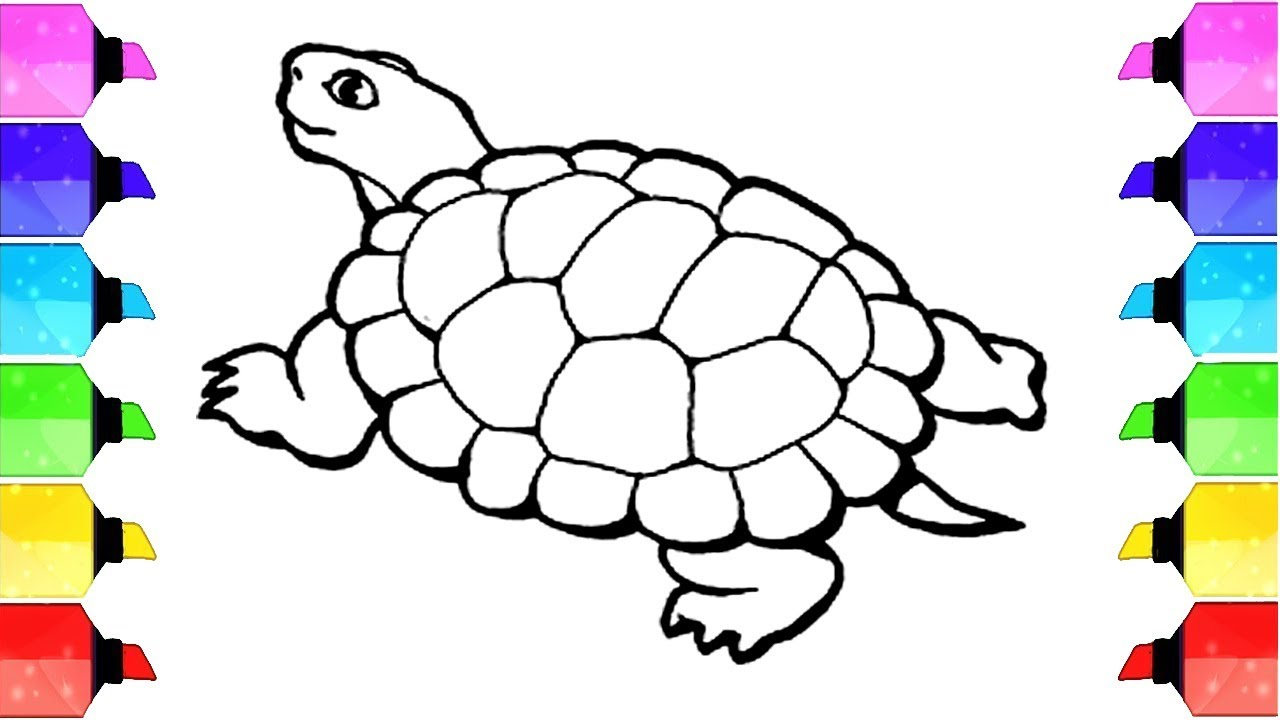 1280x720 sea turtle drawing for kids and how to draw a sea turtle animal - Sea Turtle Drawing For Kids