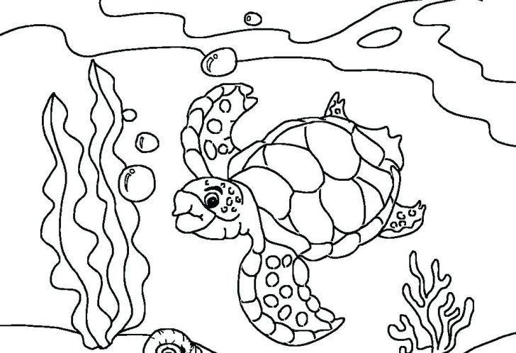 728x498 Sea Turtle Drawing Free Coloring - Sea Turtle Drawing For Kids