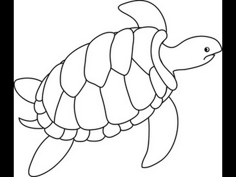 Sea Turtle Drawing For Kids at PaintingValley.com | Explore collection ...