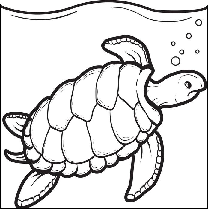 694x700 Coloring Pages Of Baby Turtles Fresh Sea Turtle Drawing For Kids - Sea Turtle Drawing For Kids