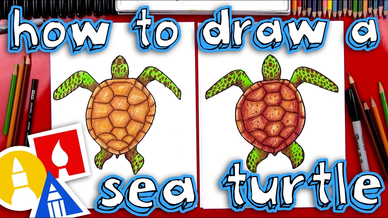 1280x720 How To Draw A Realistic Sea Turtle - Sea Turtle Drawing For Kids