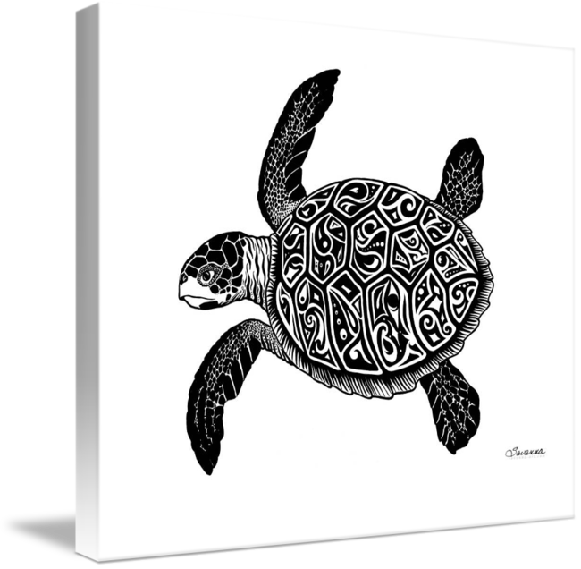650x636 Green Sea Turtle - Sea Turtle Drawing Tumblr