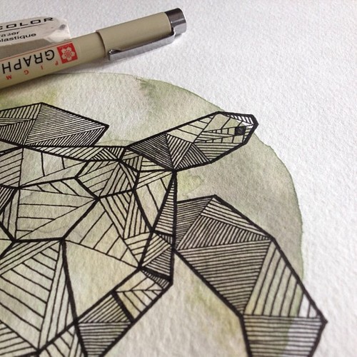 500x500 Sea Turtle - Sea Turtle Drawing Tumblr