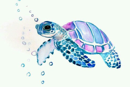 Sea Turtle Drawing Tumblr at PaintingValley.com | Explore collection of ...