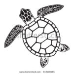 150x150  - Sea Turtle Drawing Tumblr