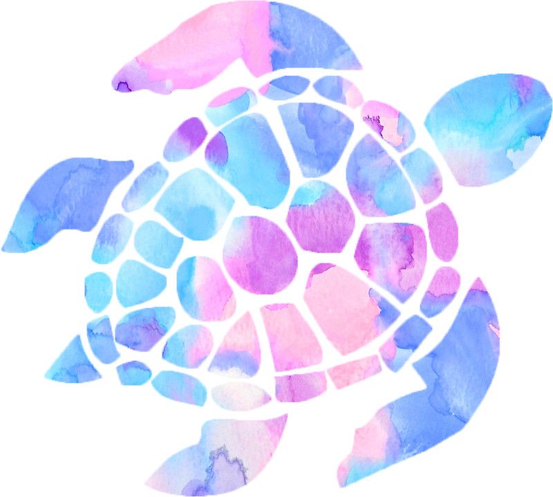 Sea Turtle Drawing Tumblr at PaintingValley.com | Explore collection of ...