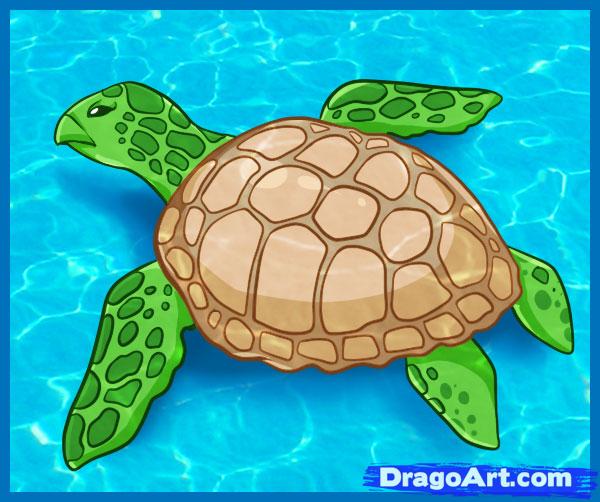 600x502 How To Draw A Sea Turtle, Step - Sea Turtle Drawing Tutorial