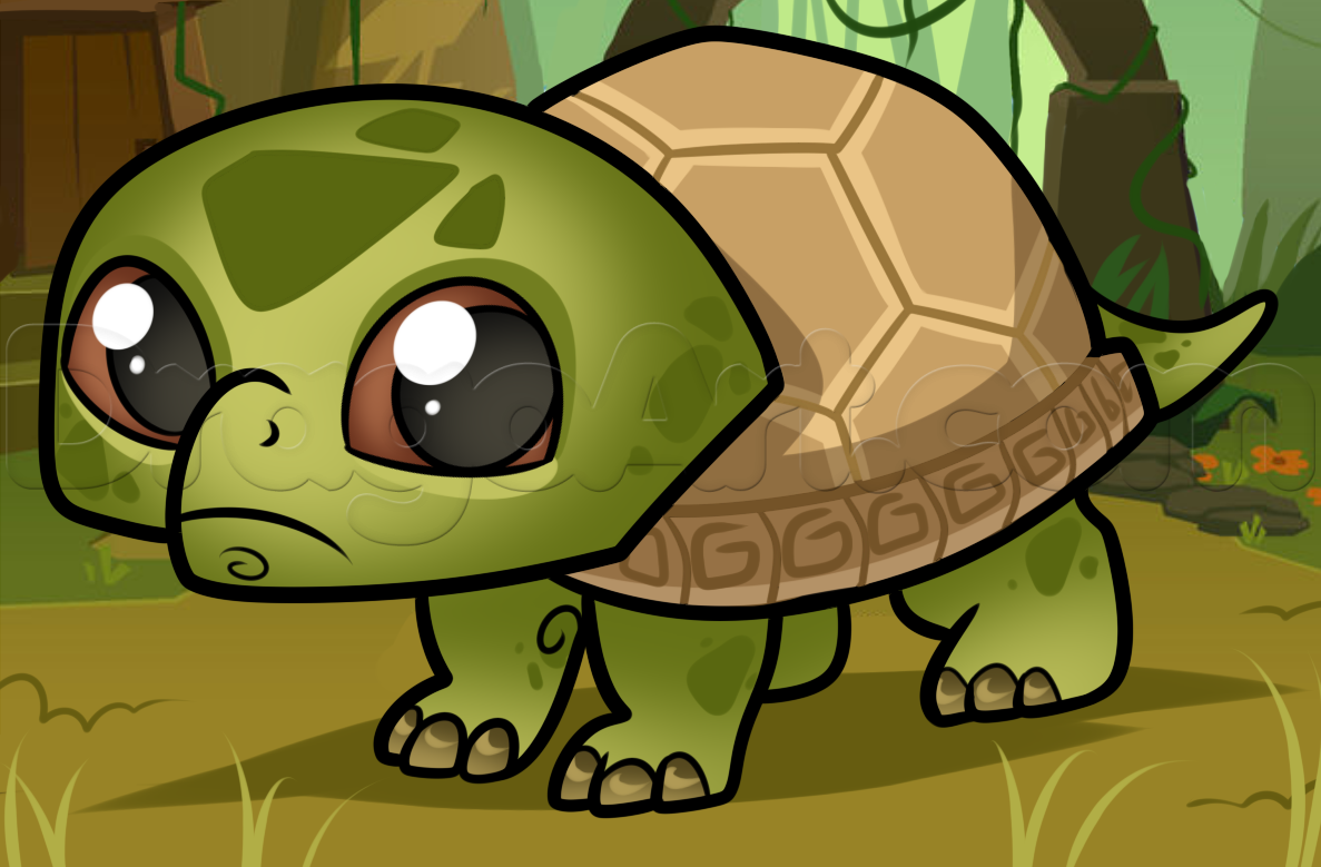 1187x779 How To Draw A Turtle For Beginners, Step - Sea Turtle Drawing Tutorial
