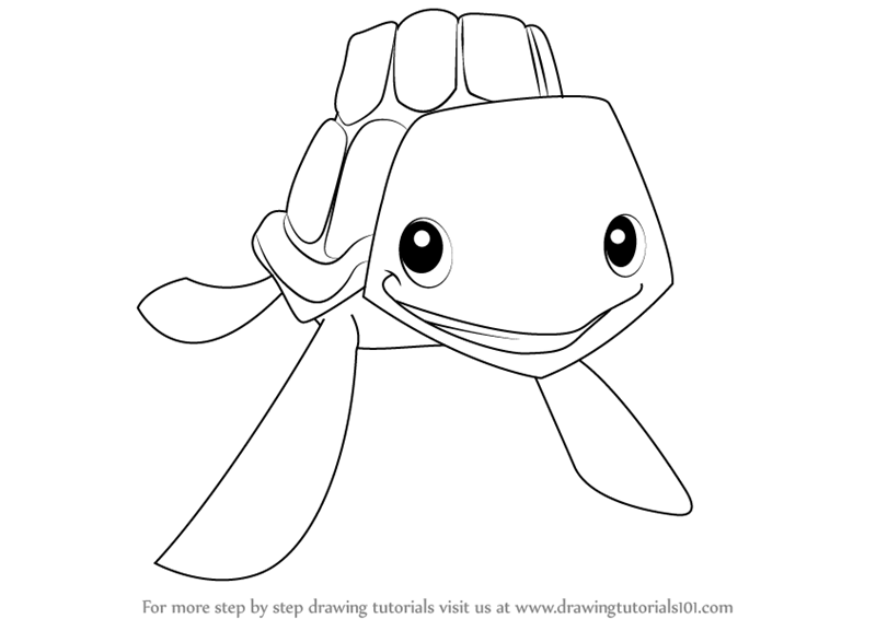 800x566 Learn How To Draw Sea Turtle From Animal Jam - Sea Turtle Drawing Tutorial