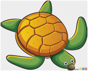 300x244 sea turtle drawing tutorial pretty how to draw see turtle sea - Sea Turtle Drawing Tutorial