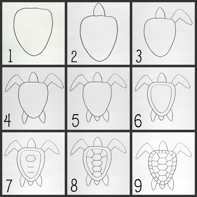 400x400 Sea Turtle Drawing Tutorial - Sea Turtle Drawing Tutorial
