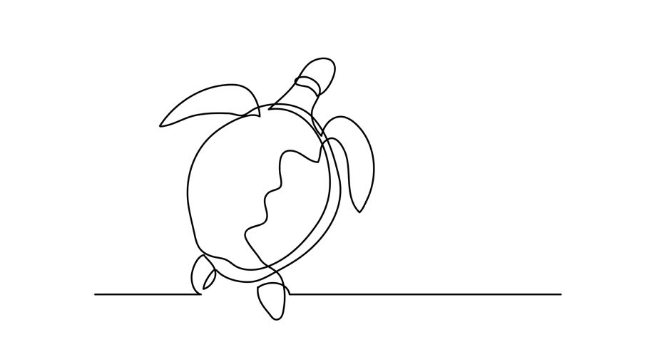 Sea Turtle Line Drawing
