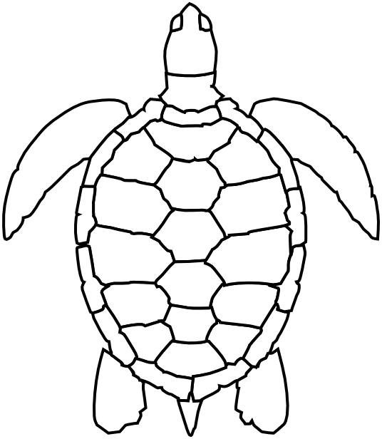 536x616 Line Drawing Sea Turtle For Free Download - Sea Turtle Line Drawing