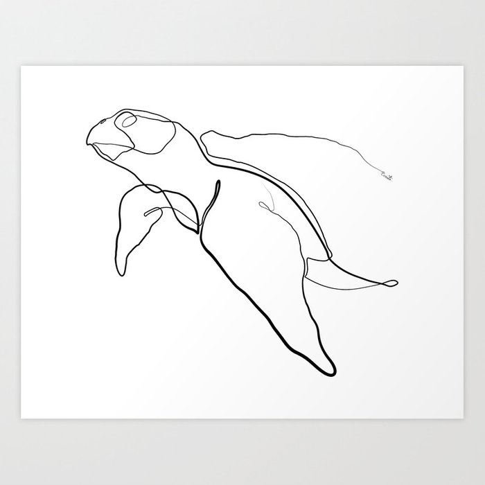 700x700 The Sea Turtle Line - Sea Turtle Line Drawing