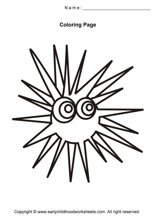 520x730 Sea Urchin Coloring - Sea Urchin Drawing