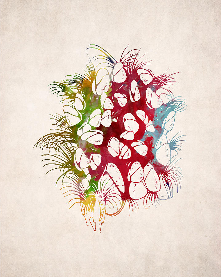 719x900 Sea Urchin Design Digital Art - Sea Urchin Drawing