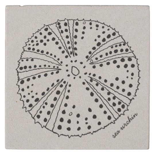 540x540 Sea Urchin Drawing Tropical Stone Coaster - Sea Urchin Drawing