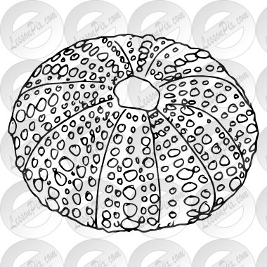 380x380 sea urchin outline overzealous sil in sea urchin pictures - Sea Urchin Drawing