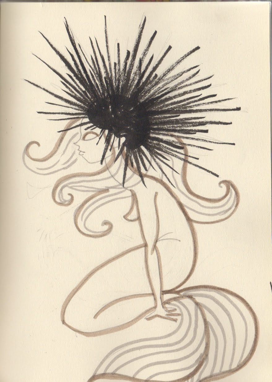 879x1237 Daisy's Drawings Sea Urchin Mermaid - Sea Urchin Drawing