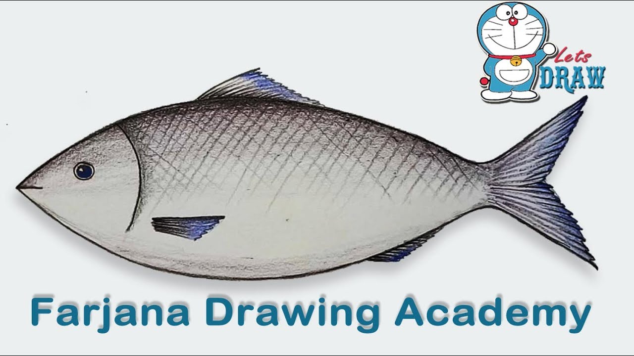 1280x720 how to draw a fish step - Seafood Drawing