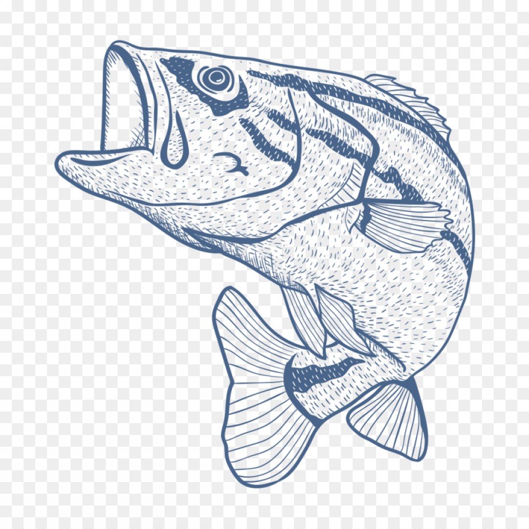 1080x1080 png fishing rod seafood drawing sketch fish arenawp - Seafood Drawing