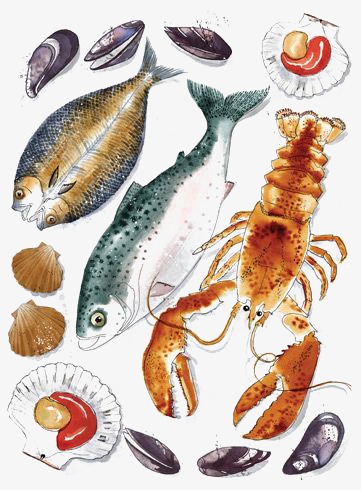 361x490 seafood, drawing seafood, cartoon, lobster png image and clipart - Seafood Drawing