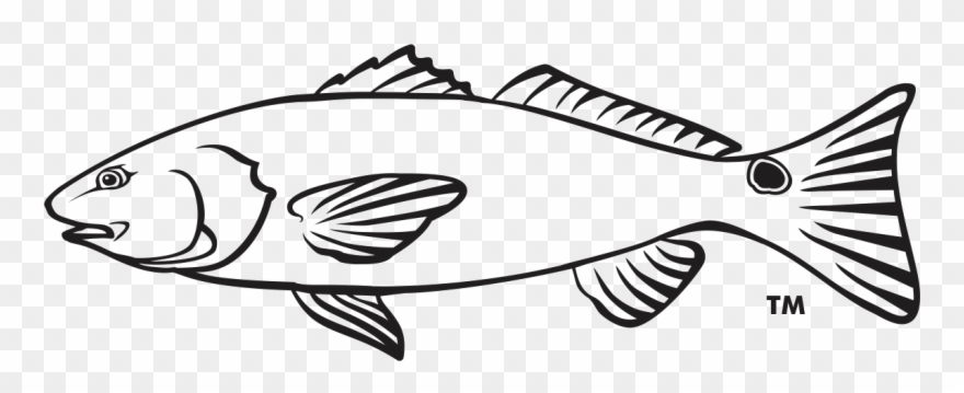 880x359 seafood drawing outline - Seafood Drawing