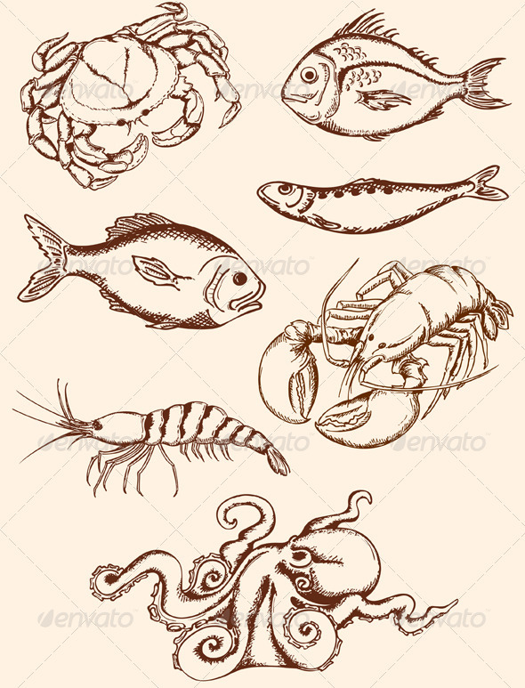 590x773 seafood graphics, designs templates from graphicriver - Seafood Drawing