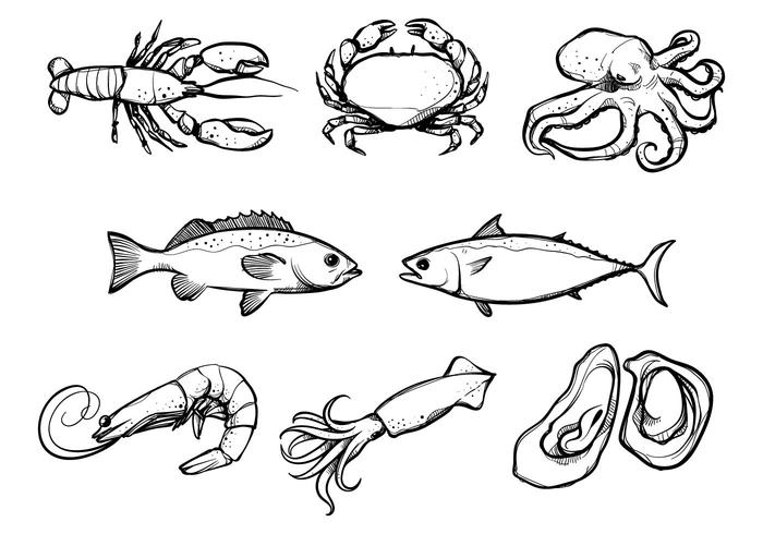 700x490 seafood vectors - Seafood Drawing