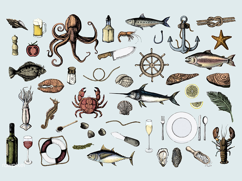 800x600 vintage seafood drawing - Seafood Drawing