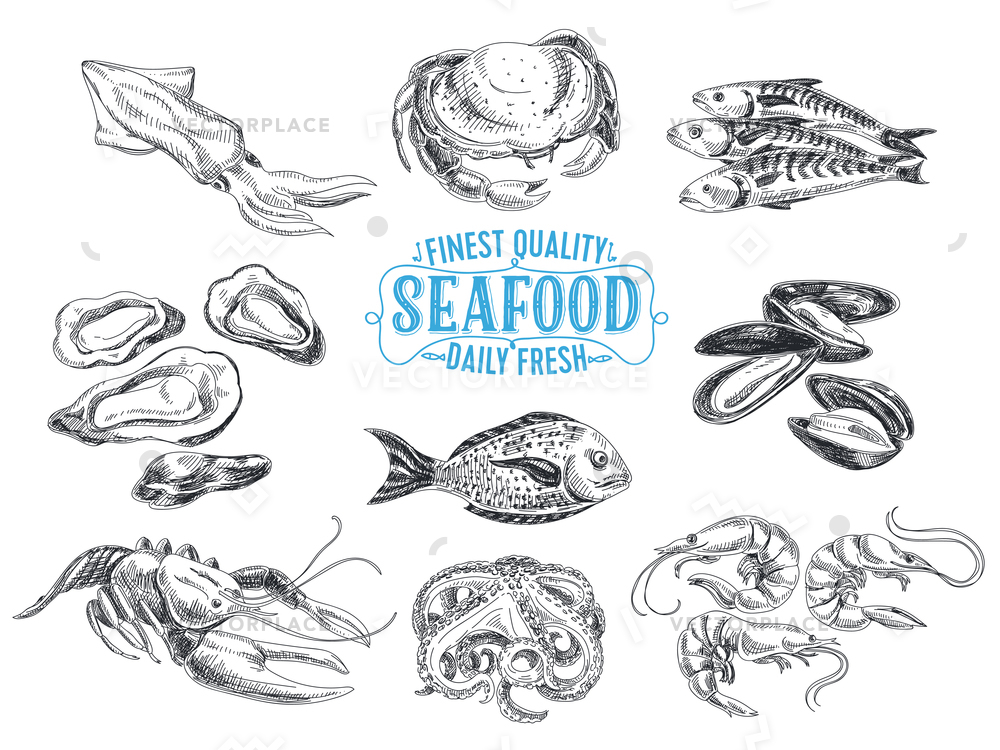 1000x750 hand drawn seafood sketch vector illustration - Seafood Drawing