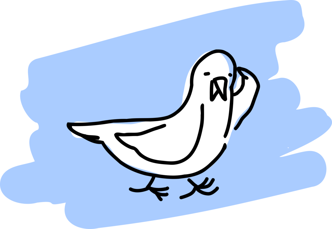 1088x750 Gulls Bird Cartoon Drawing Humour Cc0 - Seagull Cartoon Drawing