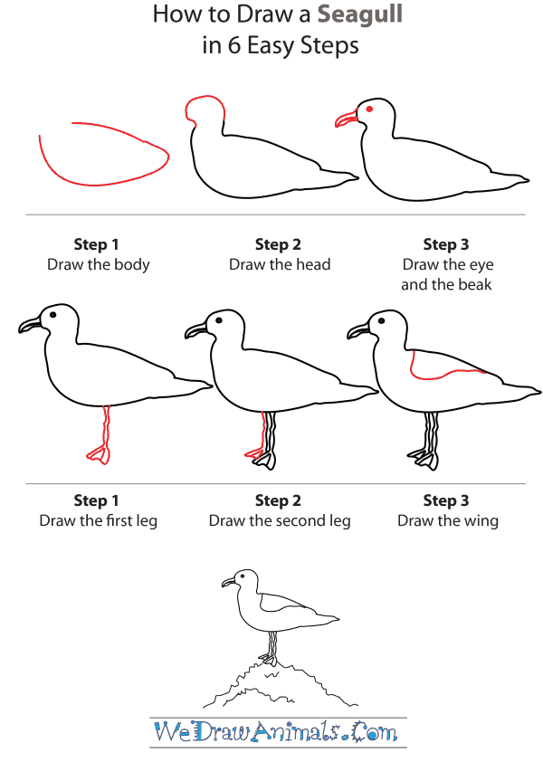 600x842 How To Draw A Seagull - Seagull Cartoon Drawing