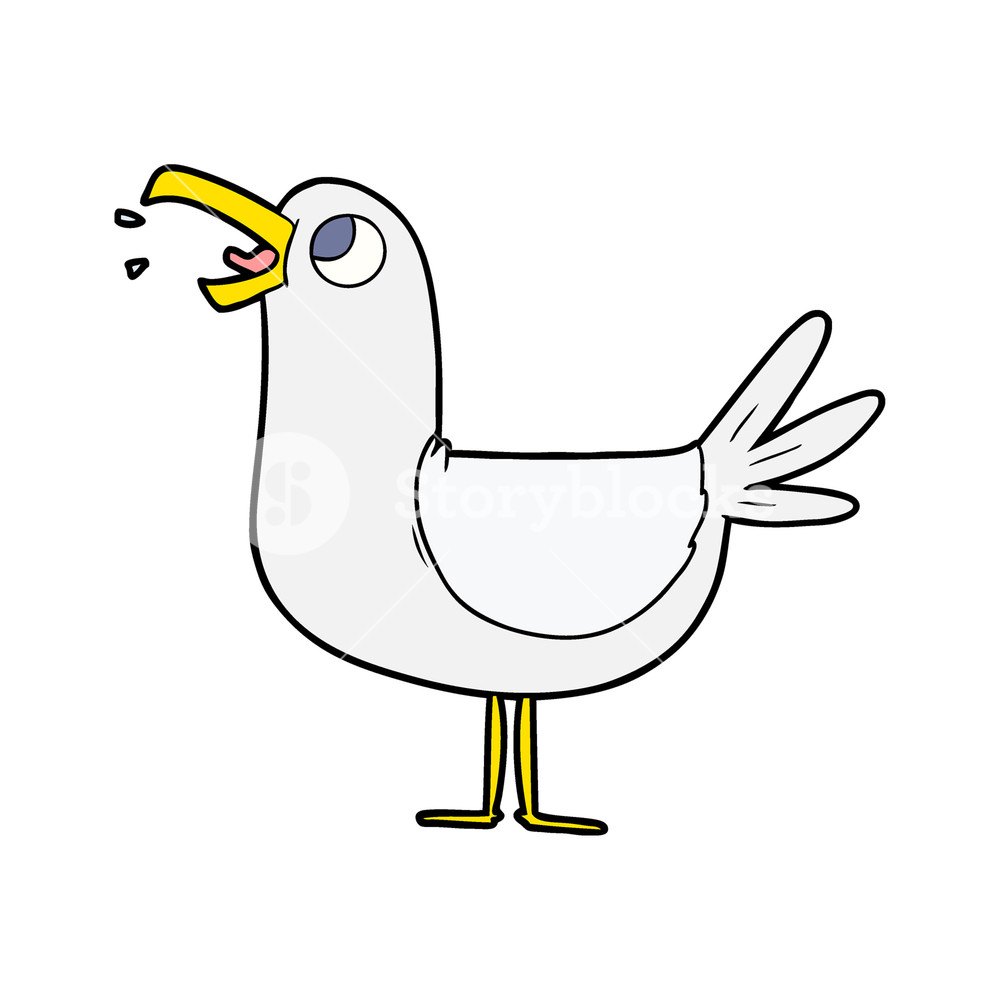 Seagull Cartoon Drawing at Explore collection of