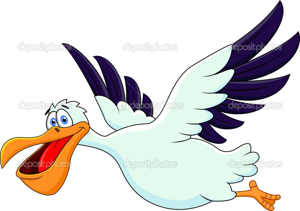 1023x720 cartoons flying figures seagull cartoons cartoon funny - Seagull Cartoon Drawing
